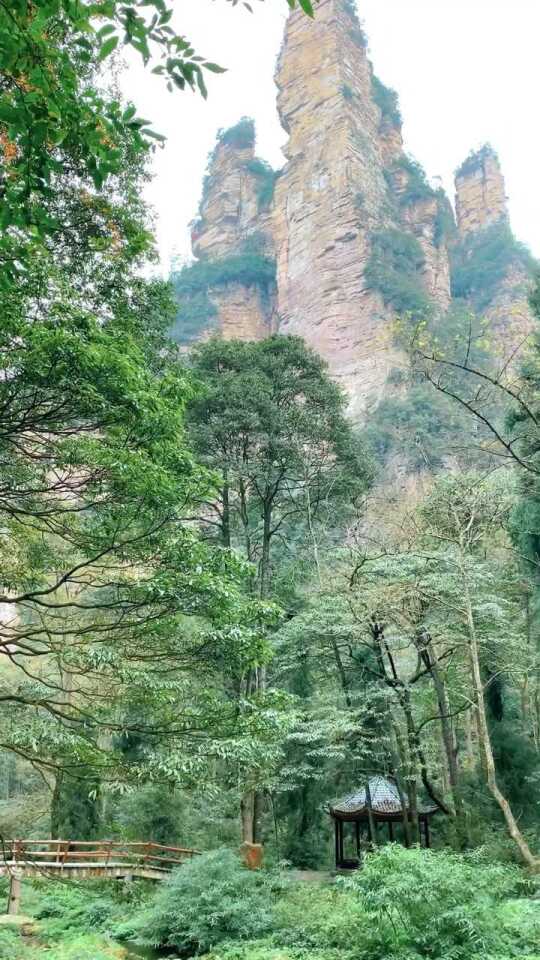 Thumbplayer Poster Plugin Image