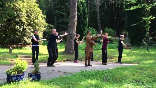 禅功柔拳 ⷠChan Gong Rou Quan