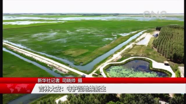 (美丽中国)吉林大安:守护湿地焕新生