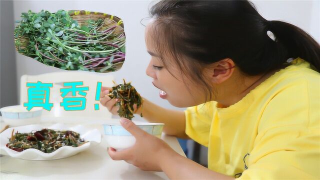 农村这种野菜很多人不爱吃,但营养鲜美酸爽开胃,还有长寿菜之称