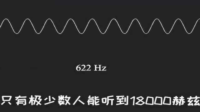 赫兹听力测试,你能听到多少?极少数人能听到18000!