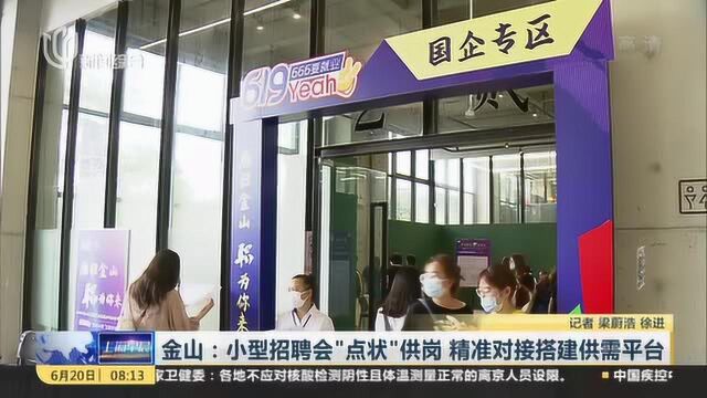 金山:小型招聘会“点状”供岗 精准对接搭建供需平台