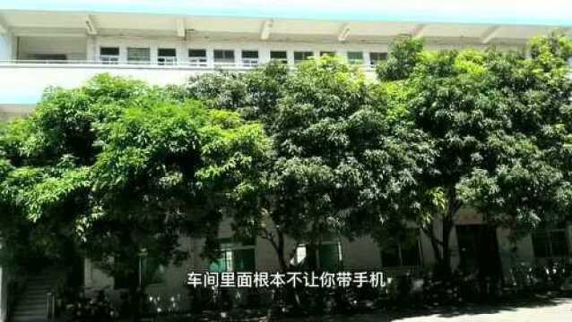 实拍,东莞女孩子最多的电子厂,男女比例1比10