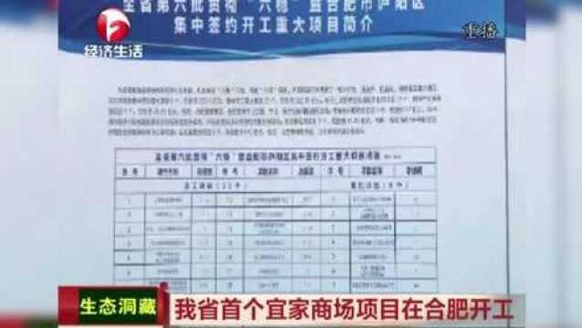 安徽省首个宜家商场项目在合肥开工