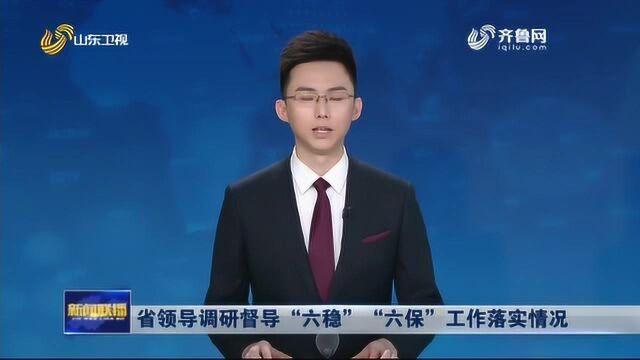 省领导调研督导“六稳”“六保”工作落实情况