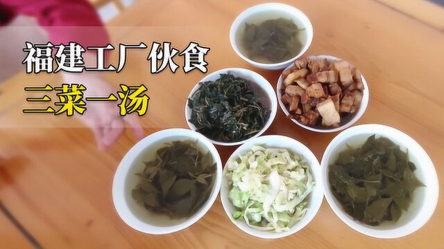 实拍福建工厂饭堂,工人3菜1汤免费吃,有肉有菜伙食好!