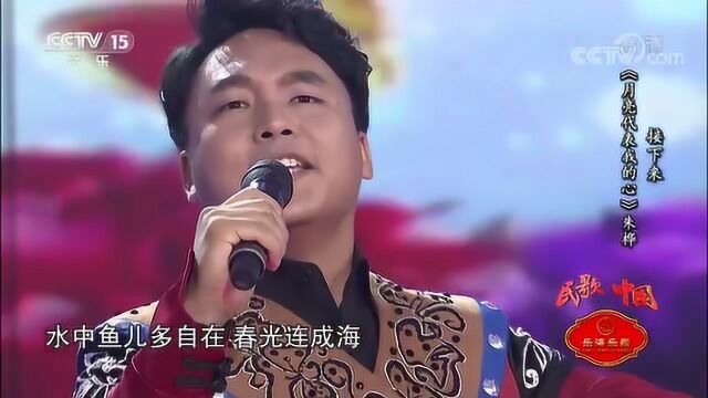 阿普萨萨演唱《凤凰花开》,歌曲欢快时尚,经典又好听!