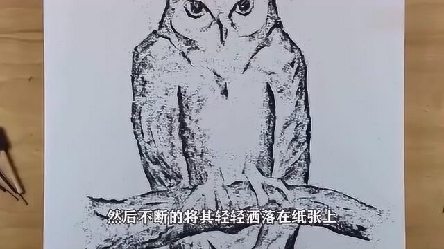 牛人用火药画出猫头鹰,点燃火药后,画的价值直接翻了几倍