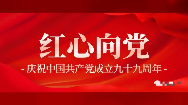 【七一建党节】我市举办优秀共产党员向林生同志先进事迹宣讲报告会