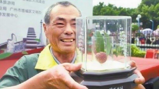 一颗荔枝为何拍能出55万天价?除了物以稀为贵,还跟杨贵妃有关!