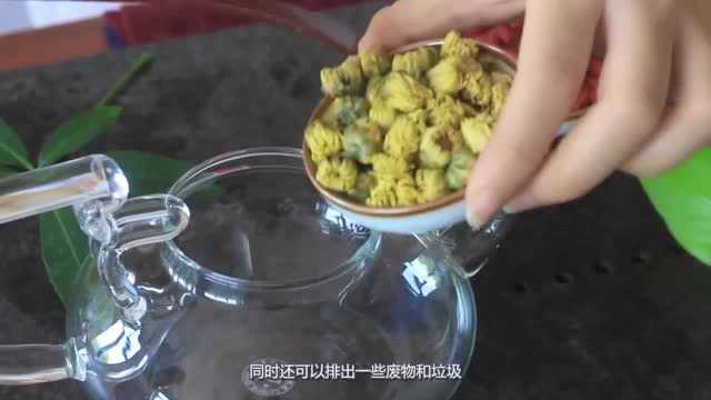 每天泡一杯菊花茶,轻松收获3个好处,不用大费周章