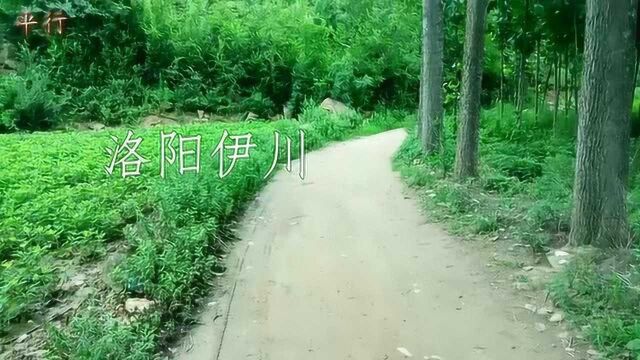 洛阳伊川石佛寺