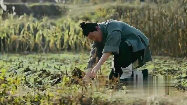 大唐突发蝗灾,皇上带领百姓吃蝗虫,变害为宝