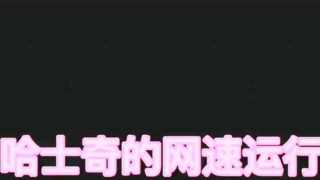 5G到1G的网速运行,哈士奇给你们演绎的淋漓尽致,快来看看吧