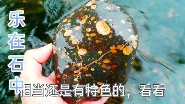 户外捡石偶遇阴雨天气,发现这块梅花玉枝干分明,实在是太漂亮了