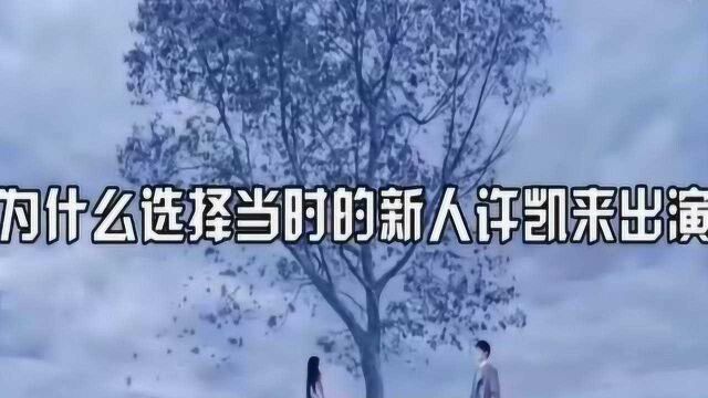 许凯:能出演电影竟因长得帅,金瀚:用东北话说土味情话