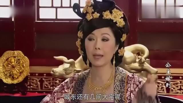 金家三位少爷乱花钱买错金山,家里资金短缺出现危机,这下可惨了