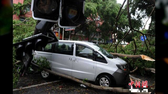 直击台风“米克拉”登陆福建漳州【组图】