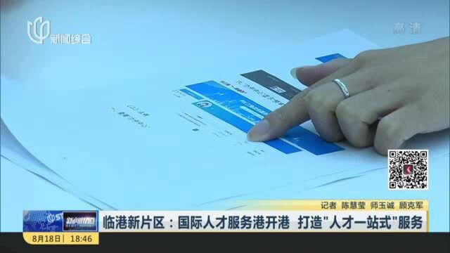 临港新片区:国际人才服务港开港 打造“人才一站式”服务