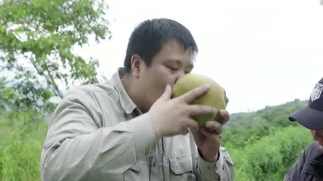 侣行:秘鲁毒品产区的农民,除了种古柯叶,也会种植其它农作物!