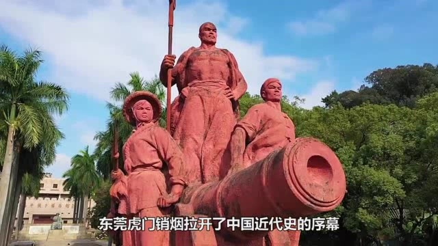 视频|全国首批,东莞法治政府建设获中央肯定