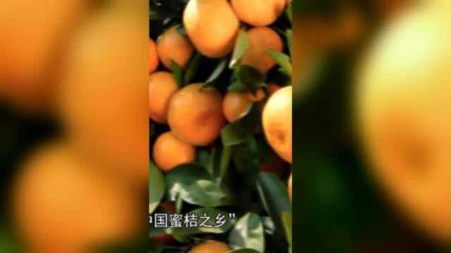 南铁扶贫宣传片——寻乌