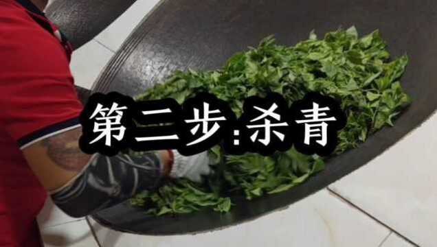 云南老布:冰岛老寨手工茶,富豪村,冰岛古树茶王,天价99万2020年.#云南老布vlog#人生第一次#