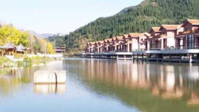 贵州妥乐村——世界古银杏风景区,全村古银杏树多达1200棵