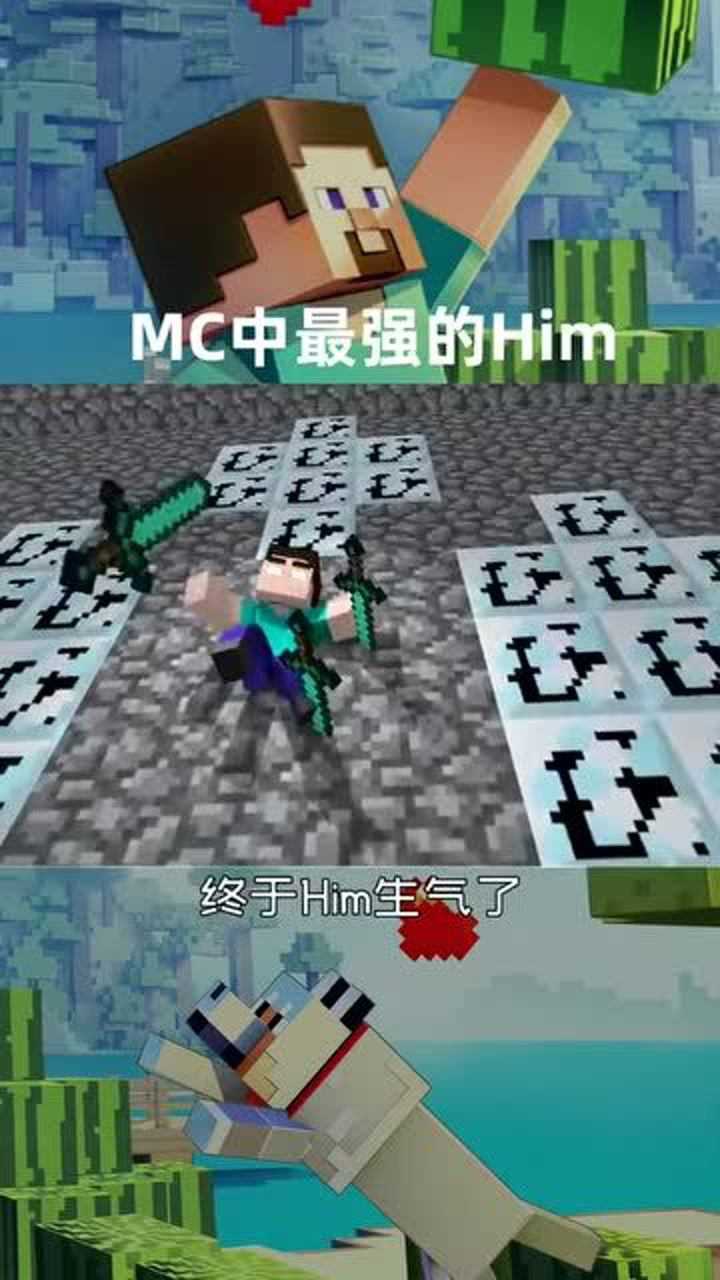 我的世界mc中最强的him