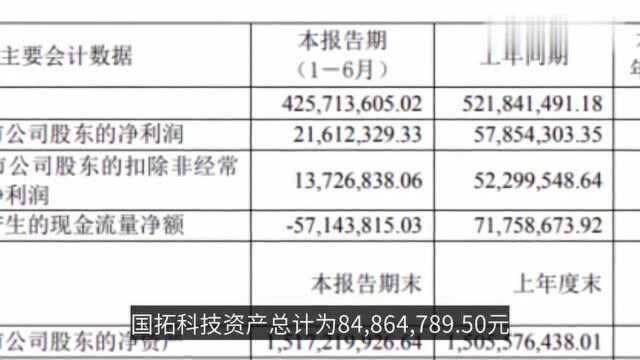 国拓科技2020年上半年净利199万减少63% 疫情产生影响较大