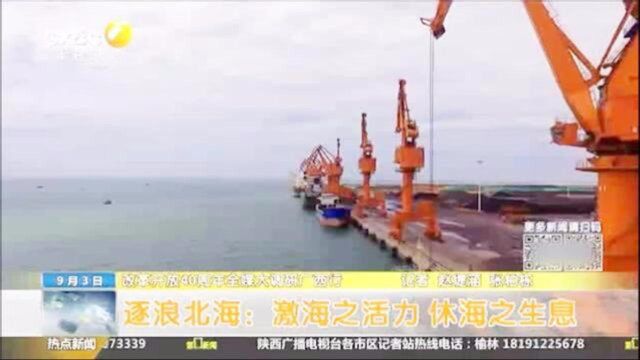 逐浪北海:激海之活力,休海之声息