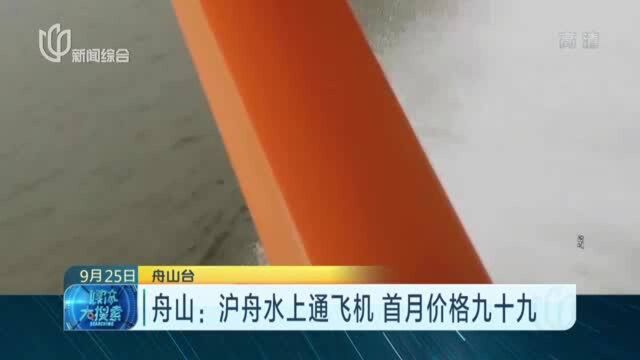 舟山:沪舟水上通飞机 首月价格九十九