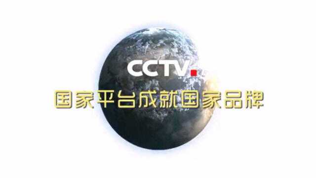 一二映像:央视广告 CCTV广告投放 全国卫视电视台广告