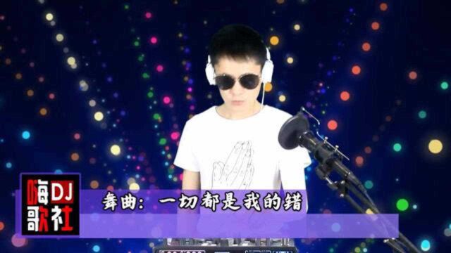 一曲《一切都是我的错》DJ舞曲版,单曲循环试听4遍!