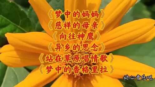 《梦中的妈妈》《慈祥的母亲》《向往神鹰》《梦中的香格里拉》