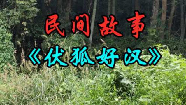 民间故事:《伏狐好汉》常州的刘銮是武举人出身