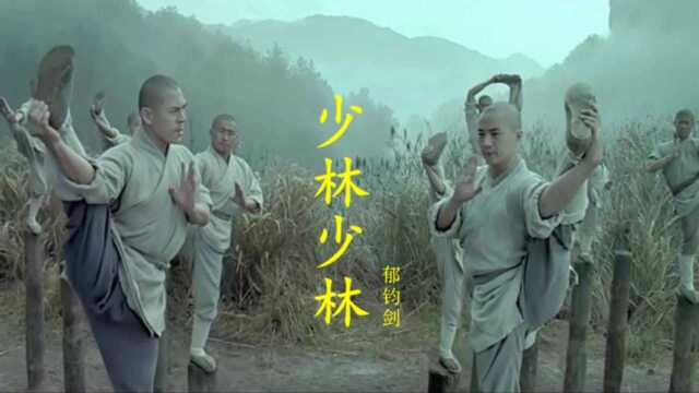 重温经典歌曲,李连杰《少林寺》主题曲《少林少林》郁钧剑演唱