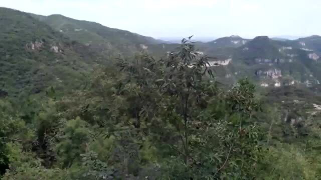 生活觅雅(049):在豫晋交界的太行山上,看群峰景秀,感受太行山的壮美