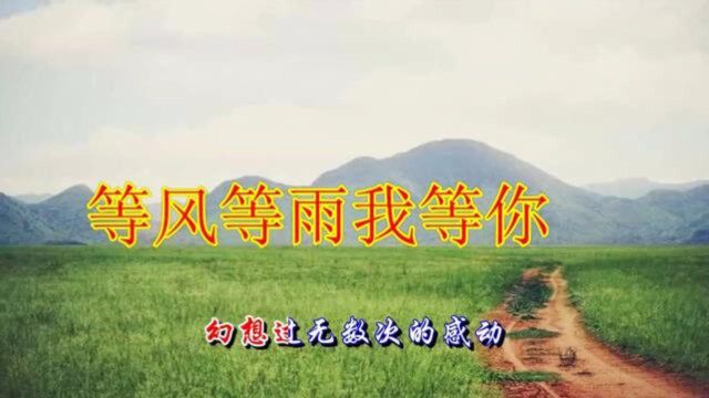 美女婉柔一首《等风等雨我等你》超级好听!送给最想念的那个人!