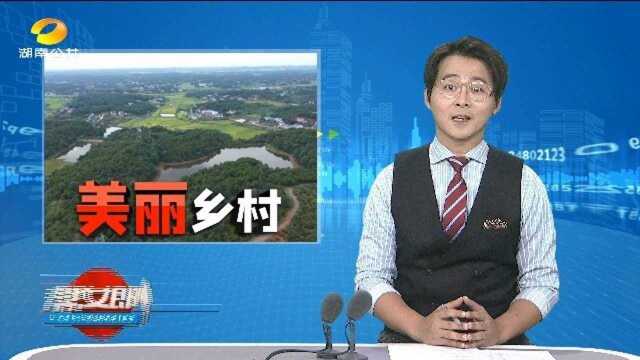 浏阳永安镇芦塘村:美栗谷里遇见童年 留住乡愁