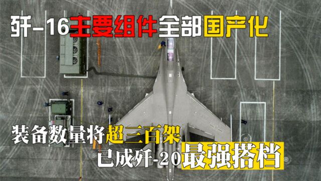 歼16主要组件全部国产化,装备数量将超三百架,已成歼20最强搭档