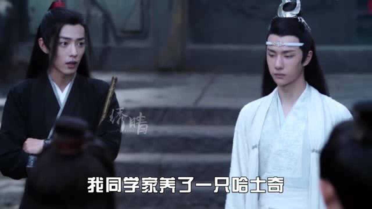 陈情令搞笑番外│51魏婴养狗