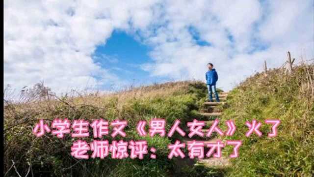 小学生作文《男人女人》火了,老师惊评:太有才了