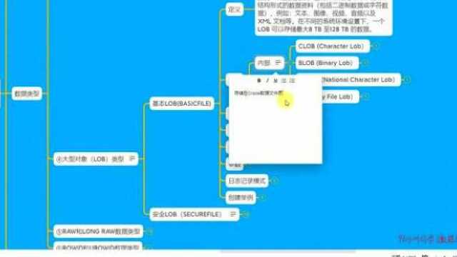 256LOB数据类型的分类