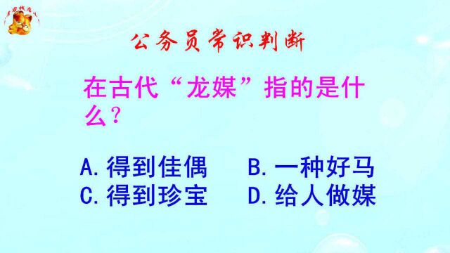 公务员常识判断,在古代龙媒指的是什么?难倒了学霸