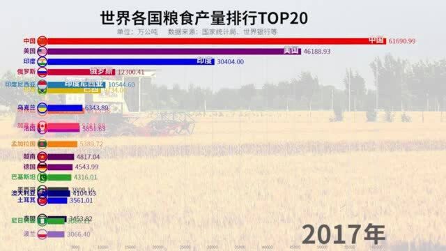 世界各国粮食产量排行TOP20