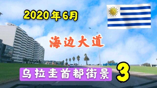 37.第3集南美洲最安全的国家乌拉圭首都蒙得维的亚2020年街景