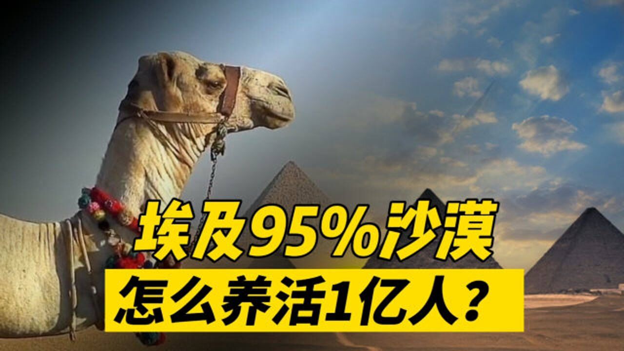 埃及国土95%以上都是沙漠,那么埃及是怎么养活一亿人口的?