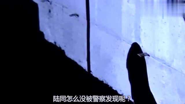 孙红雷巅峰之作《征服》,其中这5个情节你看懂了么?