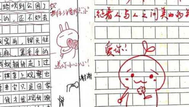 小学老师点评作文附超萌表情包引热议,当事人:学生快乐我也快乐